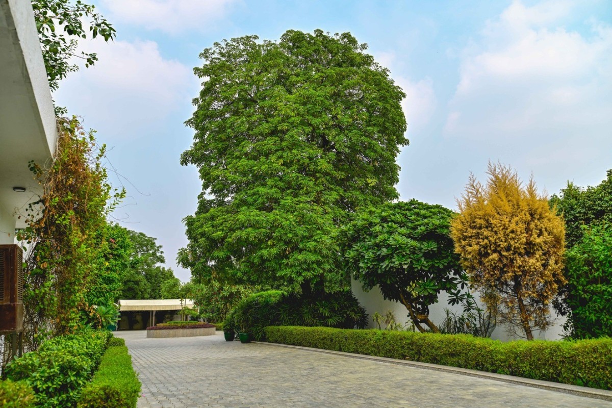 Udman Luxe Villa — photo 69