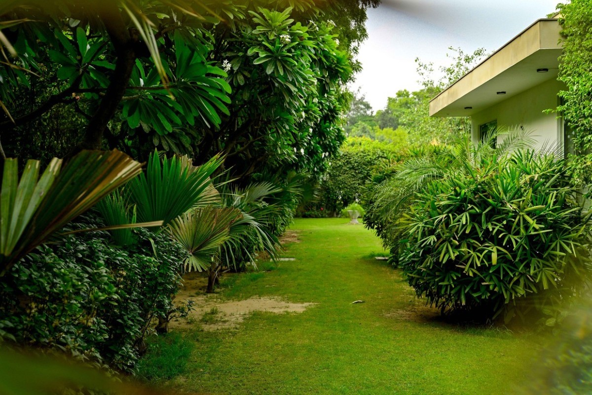 Udman Luxe Villa — photo 10