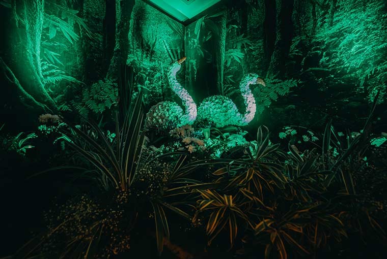 Jungle Themed Cocktail