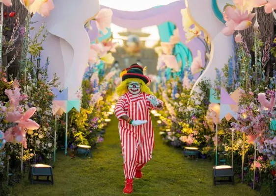 Magic & Puppets