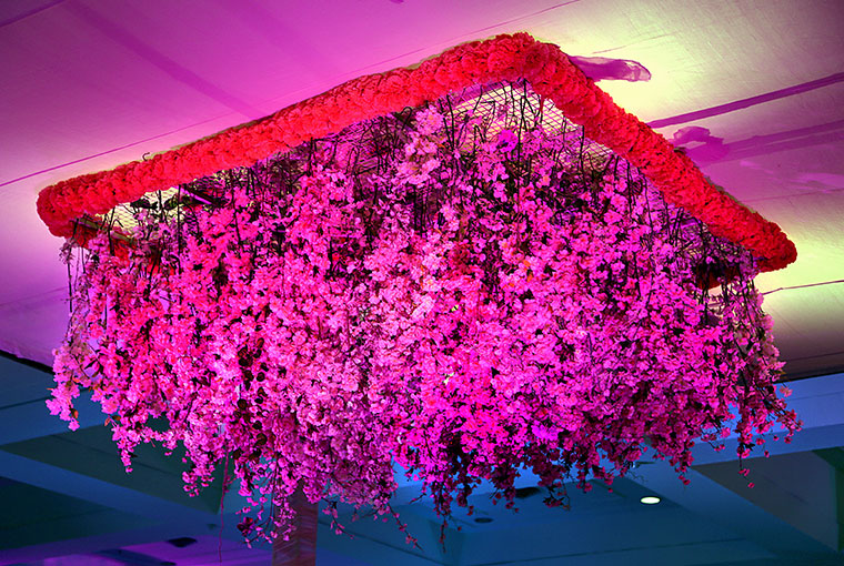 Pink tendrils floral Chandelier