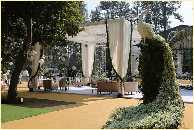 Summer Wedding venues lawn & decor