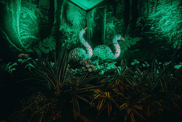 Jungle Themed Cocktail