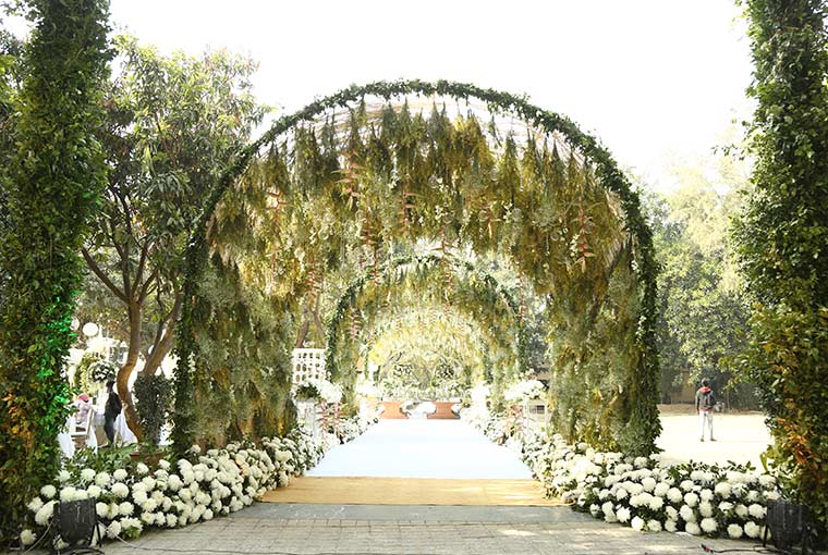 A dreamy setting with green foliage!